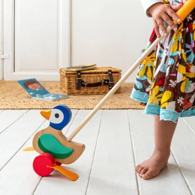 Push Along Duck