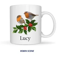 robin scene Personalised Christma..