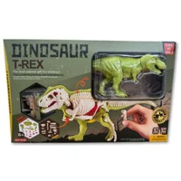 T-Rex Anatomical 3D Model