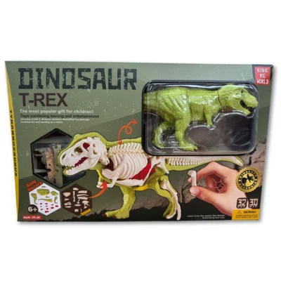 T-Rex Anatomical 3D Model