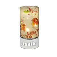 Winter Robin LED Tube Light