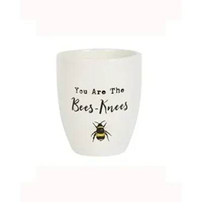 You Are The Bees Knees Ceramic Plant Pot