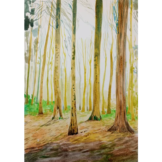 Original Gouache Landscape Painting on Paper of a light coloured forest with delicate details of branches and trees in brown, green, yellow and blue.