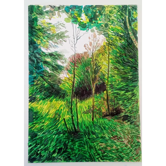 Verdant Forest - Original Watercolour Ink Landscape Painting