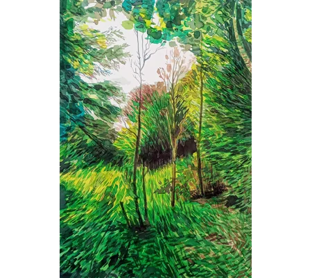 Verdant Forest - Original Watercolour Ink Landscape Painting