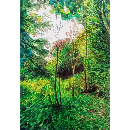 Verdant Forest - Original Watercolour Ink Landscape Painting