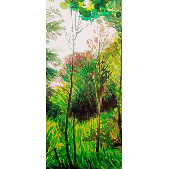 Verdant Forest - Original Watercolour Ink Landscape Painting