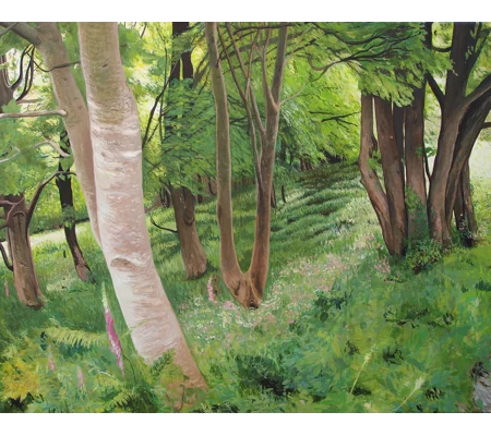 Luccombe Woods - Giclee Print