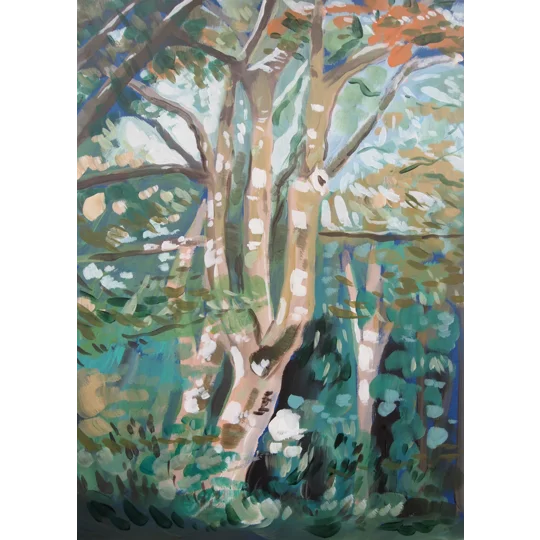 Tree Study - Giclee Print