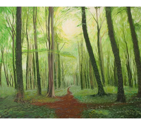Woodland Light - Giclee Print