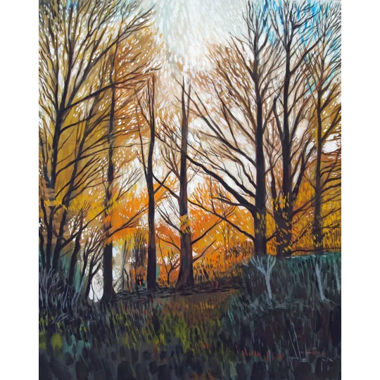3 x A4 Prints of your choice