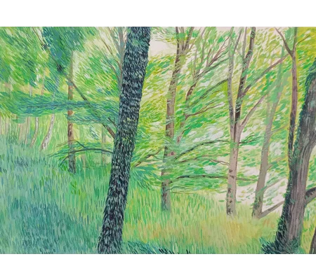 Woodland - Original Oil Painting on Canvas