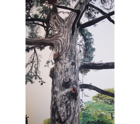 Tree Study #6 - Original Watercolour Painting on Paper