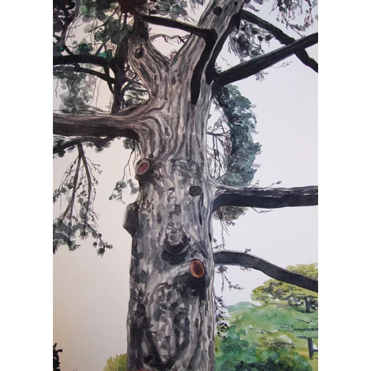 Original watercolour landscape painting of a grey tree with white sky behind and a little green foliage.