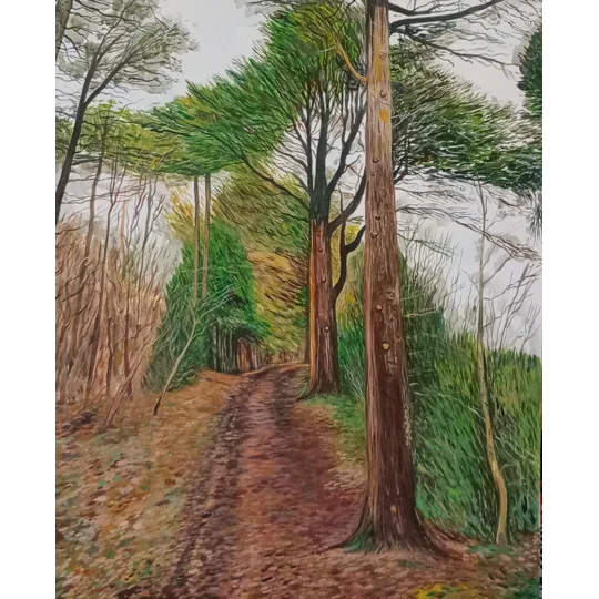 Contemporary landscape painting on canvas board of Parkhurst Forest on the Isle of Wight. Autumn colours and a path through woodland.