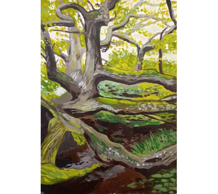 Dragon Tree - Giclee Print