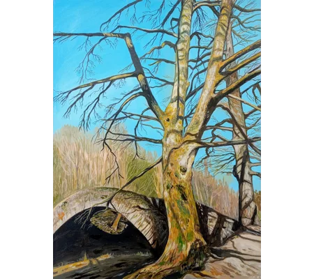 Lake District Tree - Giclee Print