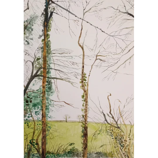 Original gouache landscape painting on paper, detailed study of trees, branches and foliage near Carisbrooke Castle on the Isle of Wight.