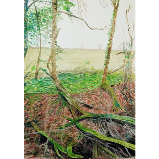 Original gouache landscape painting on paper, a detailed study of trees, branches and foliage near Carisbrooke Castle on the Isle of Wight.