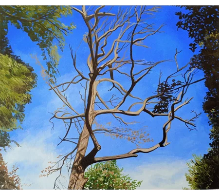 Tree Study #5 - Original Acrylic Landscape Painting on Canvas Board