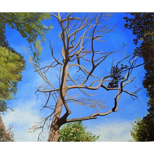 Original acrylic landscape painting on canvas board, a detailed study of a tree, branches and foliage.