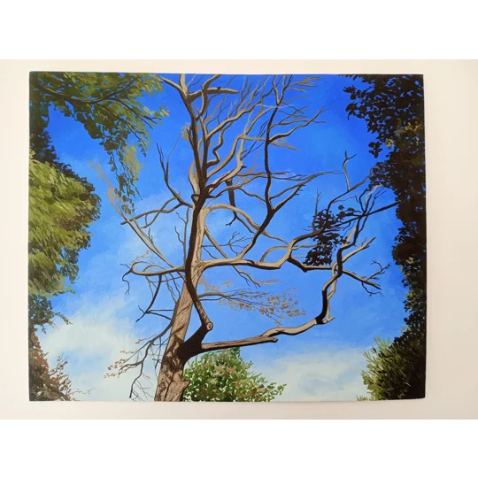 Tree Study #5 - Original Acrylic Landscape Painting on Canvas Board