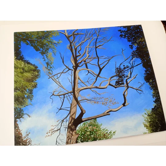 Tree Study #5 - Original Acrylic Landscape Painting on Canvas Board
