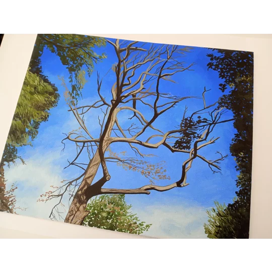 Tree Study #5 - Original Acrylic Landscape Painting on Canvas Board