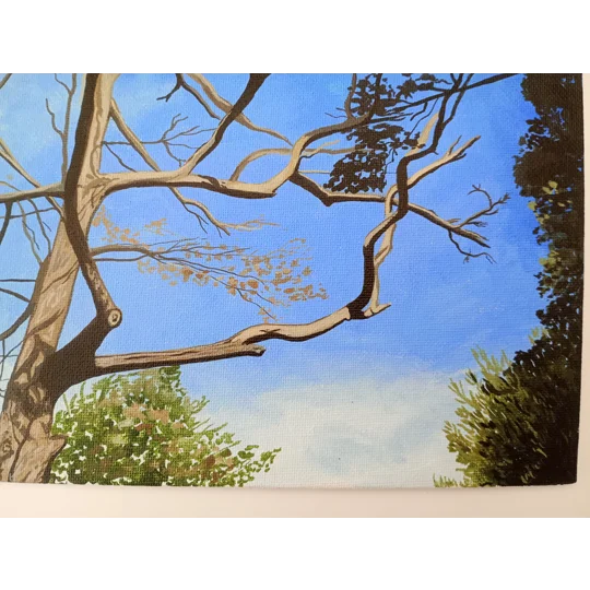 Tree Study #5 - Original Acrylic Landscape Painting on Canvas Board