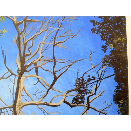 Tree Study #5 - Original Acrylic Landscape Painting on Canvas Board