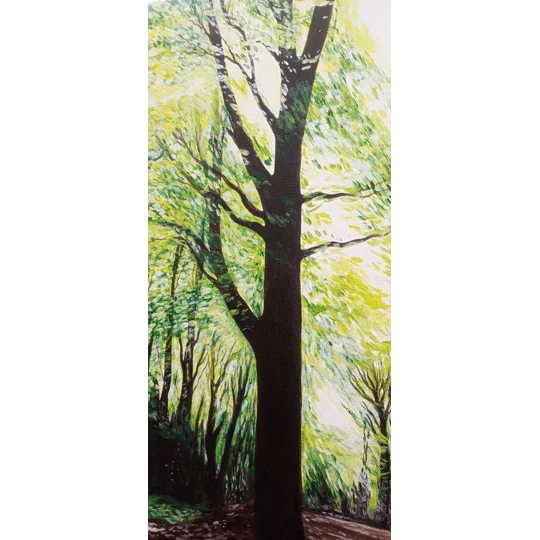Parkhurst / Tree Shadows - Original Acrylic Landscape Painting on Canvas