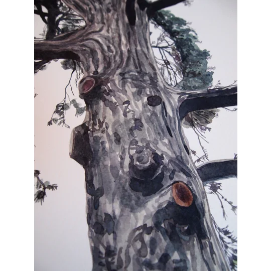 Tree Study #6 - Original Watercolour Painting on Paper