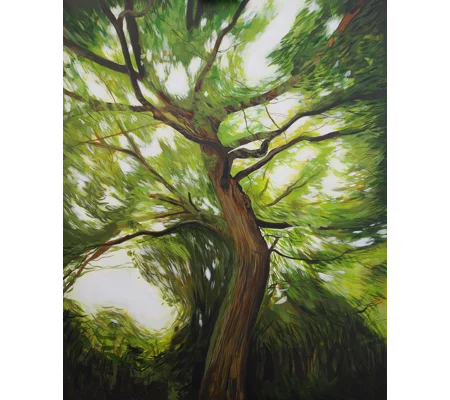 Woodland Tree (Yarmouth) - Giclee Print