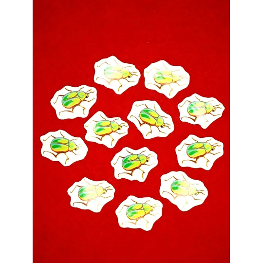 Tiny June Bug Sticker (10 pcs)