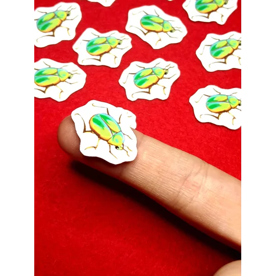 Tiny June Bug Sticker (10 pcs)