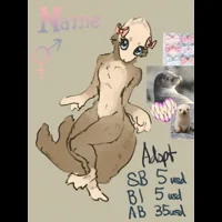 Otter Adopt (DIGITAL PRODUCT)