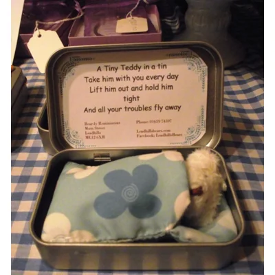Tiny Teddy in a Tin
