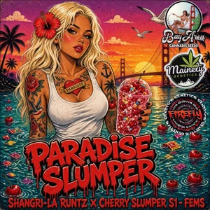 Paradise Slumper (Shangri-La Runtz × Cherry Slumper S1) {Fems}