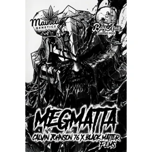 Megmatta (Calvin Johnson #76 × Black Matter #100) {Fems}