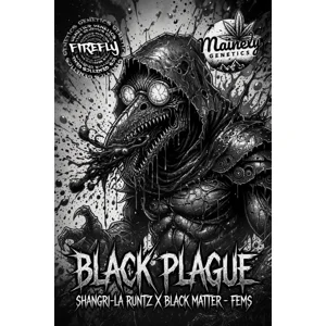 Black Plague (Shangri-La Runtz × Black Matter #100) {Fems}