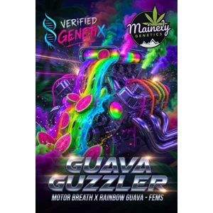 Guava Guzzler (Motor Breath × Rainbow Guava) {Fems}