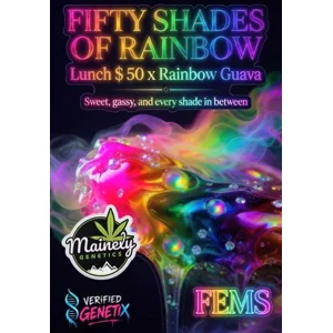 Fifty Shades of Rainbow (Lunch $ #50 × Rainbow Guava) {Fems}