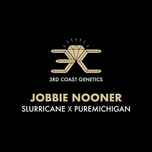Jobbie Nooner (Slurricane #7 × Pure Michigan)