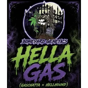 Hella Gas (Gaschatta × Hellhound) w/ *Freebie