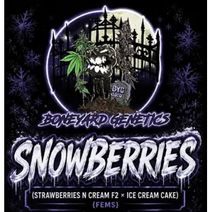Snowberries (Strawberries N Cream F2 × Ice Cream Cake) {Fems} w/ *Freebie