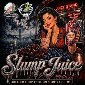 Slump Juice (Blueberry Slumper × Cherry Slumper S1) {Fems}