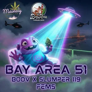 Bay Area 51 (Boov #120 × Slumper #119) {Fems}