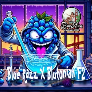 Blue Blutonium (Blue Razz × Blutonian F2)
