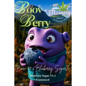 Boov Berry (Boov #120 × Bluberry Sugar) {Fems}
