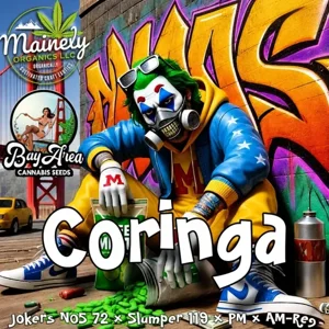 Coringa (Jokers NOS #72 × {Slumper #119 × PM × AM})